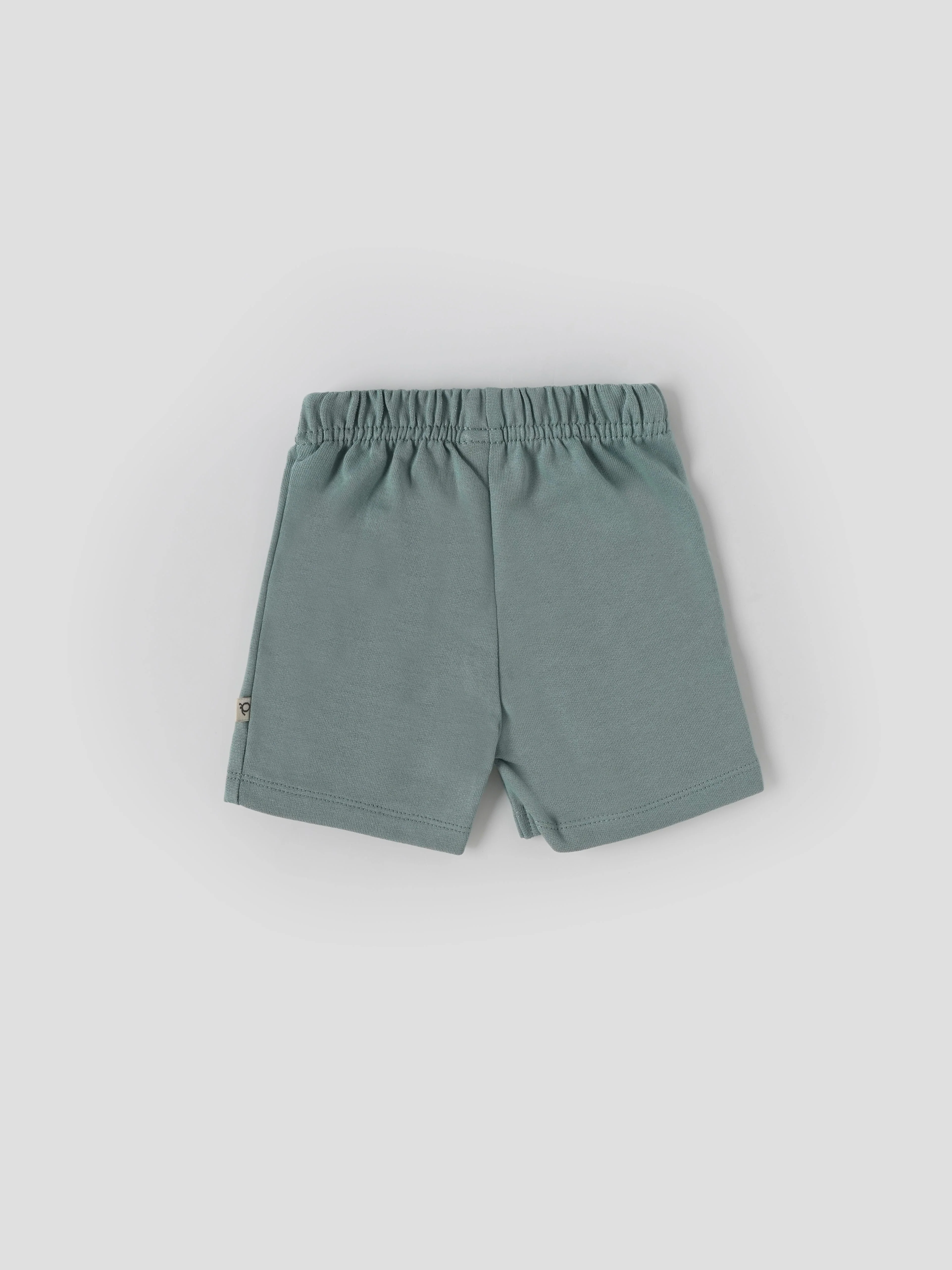 Popees Baby Boys Cotton T-Shirt & Shorts Set Leaf Print| 3–36 Months - Image 4